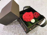 Preserved rose in box